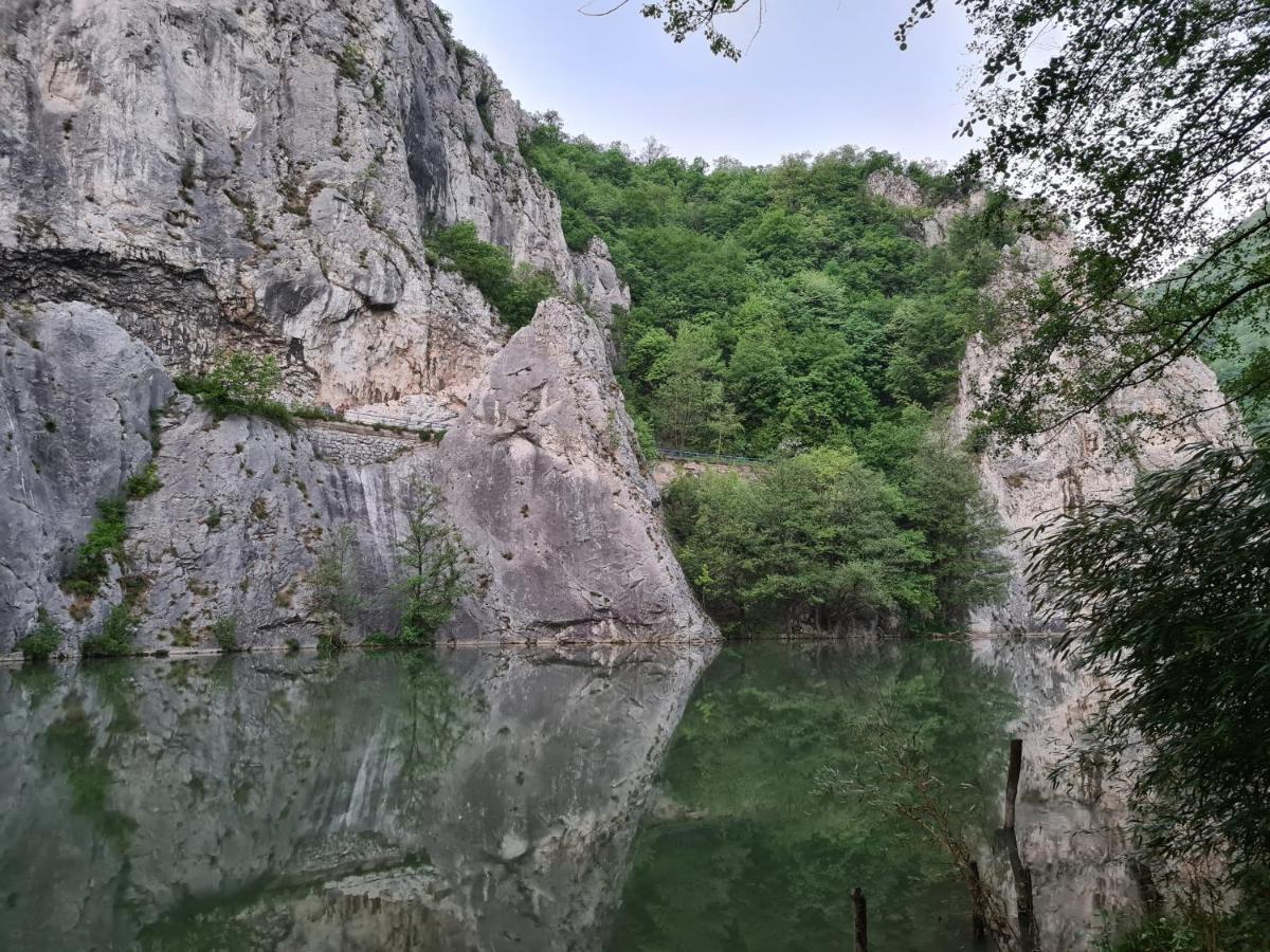 Ribarev San Ovcar Banja Exterior foto