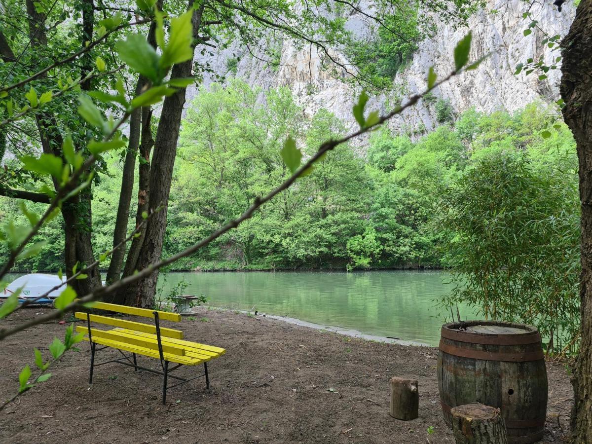 Ribarev San Ovcar Banja Exterior foto